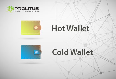 Hot Wallet or a Cold Wallet